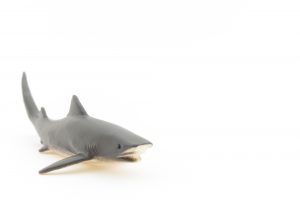 man tshark man tshark